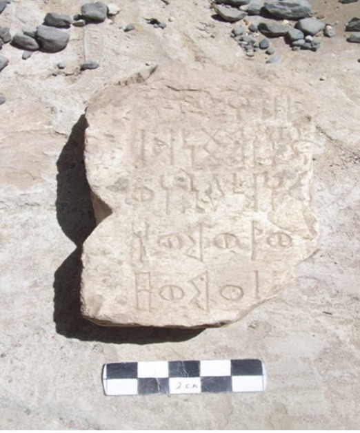 البكير – دورم 5